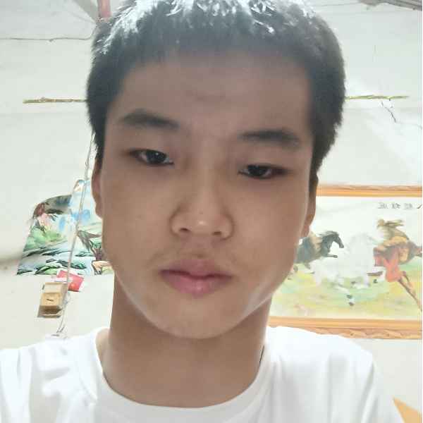 河南19岁单身帅哥真诚找对象-呼和浩特征婚相亲网