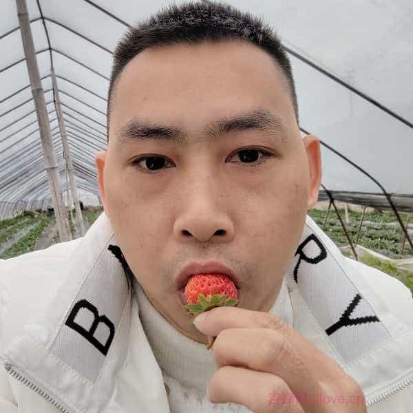 呼和浩特征婚相亲网